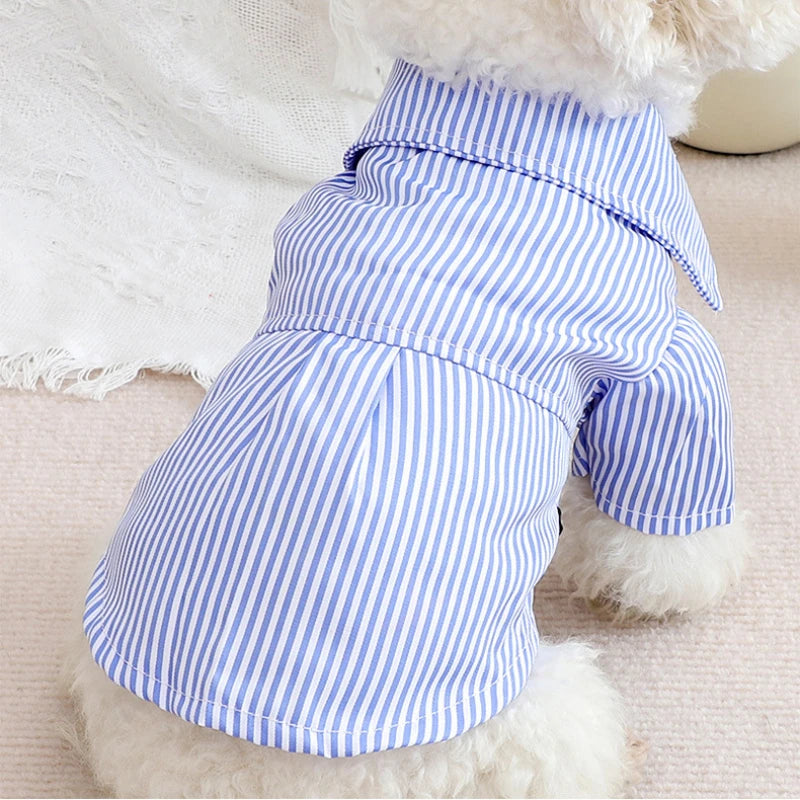 Soho shirt