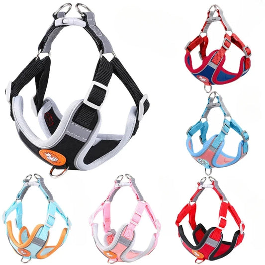 Reflective Harness