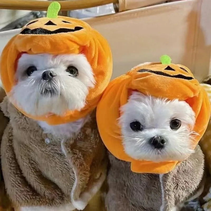 Pumpkin Hat