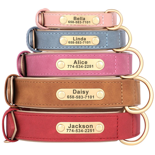 Leather Collar Leash