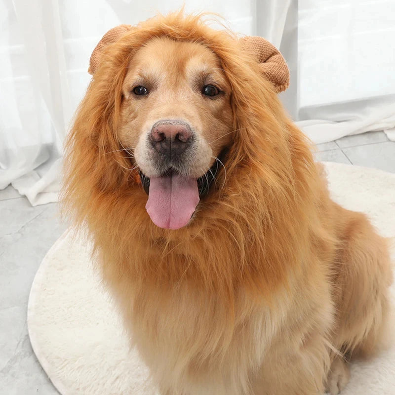 Lion Wig