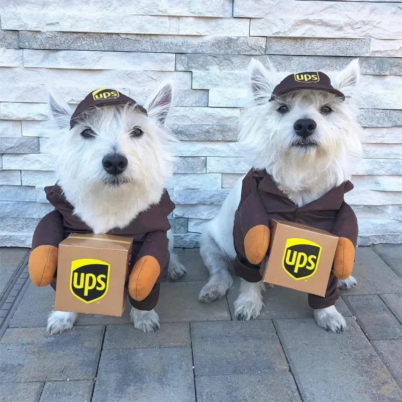 Ups