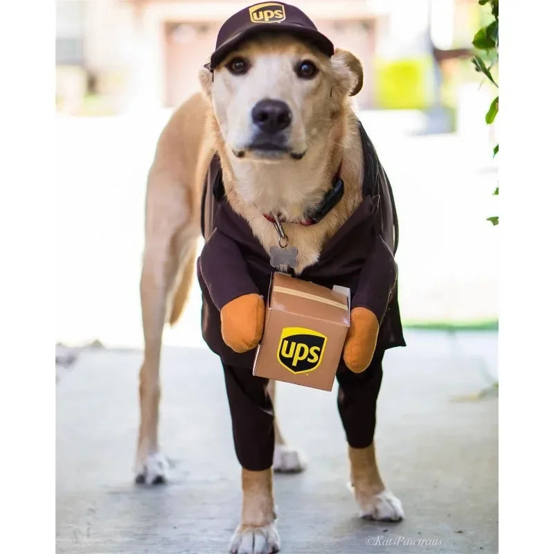 Ups