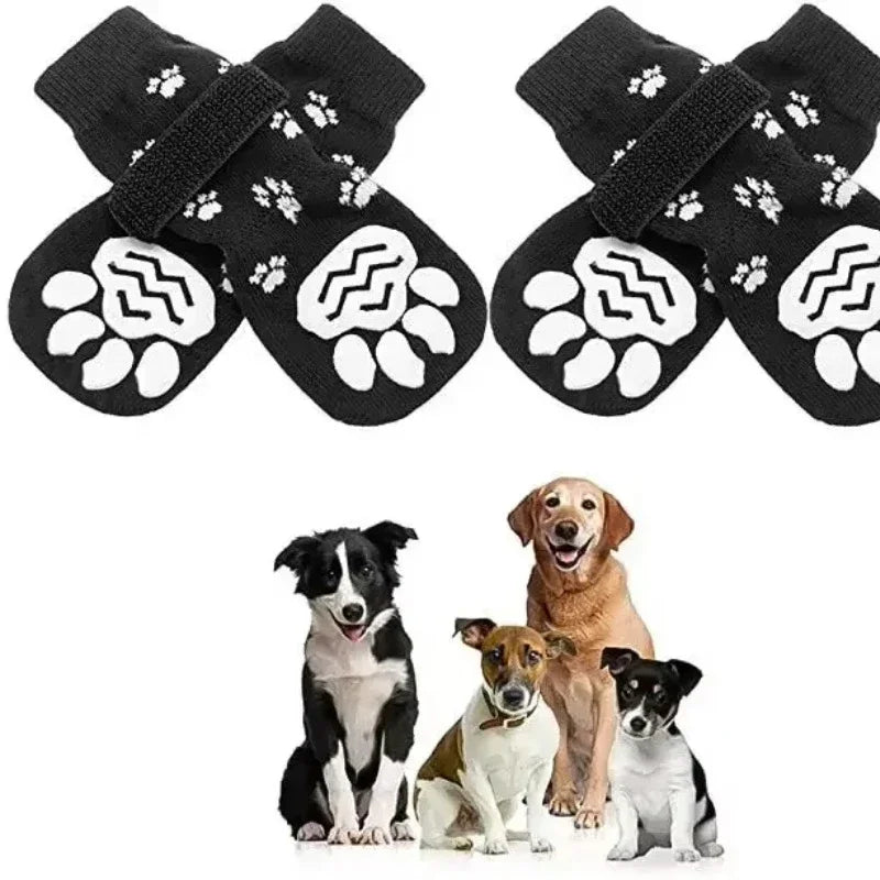 Paw Shoes