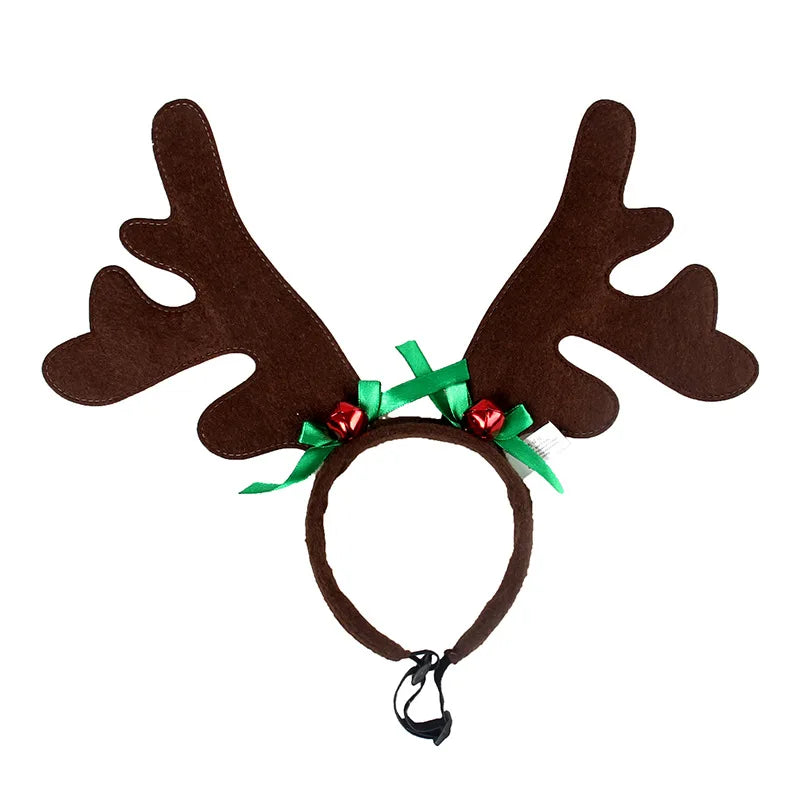 Elk Reindeer