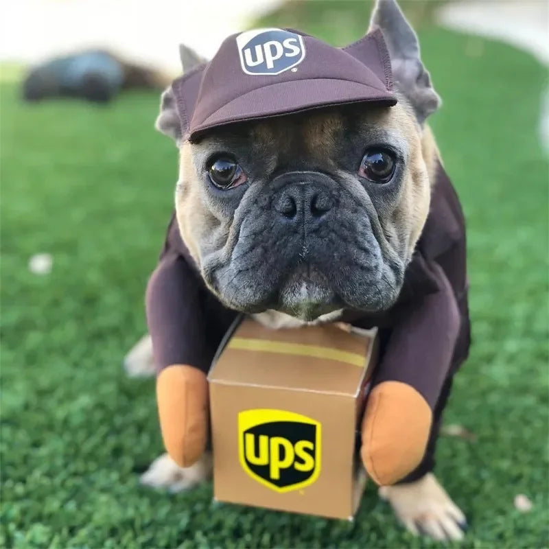 Ups