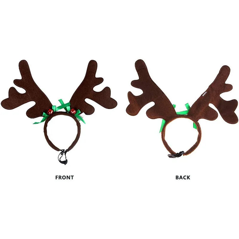 Elk Reindeer