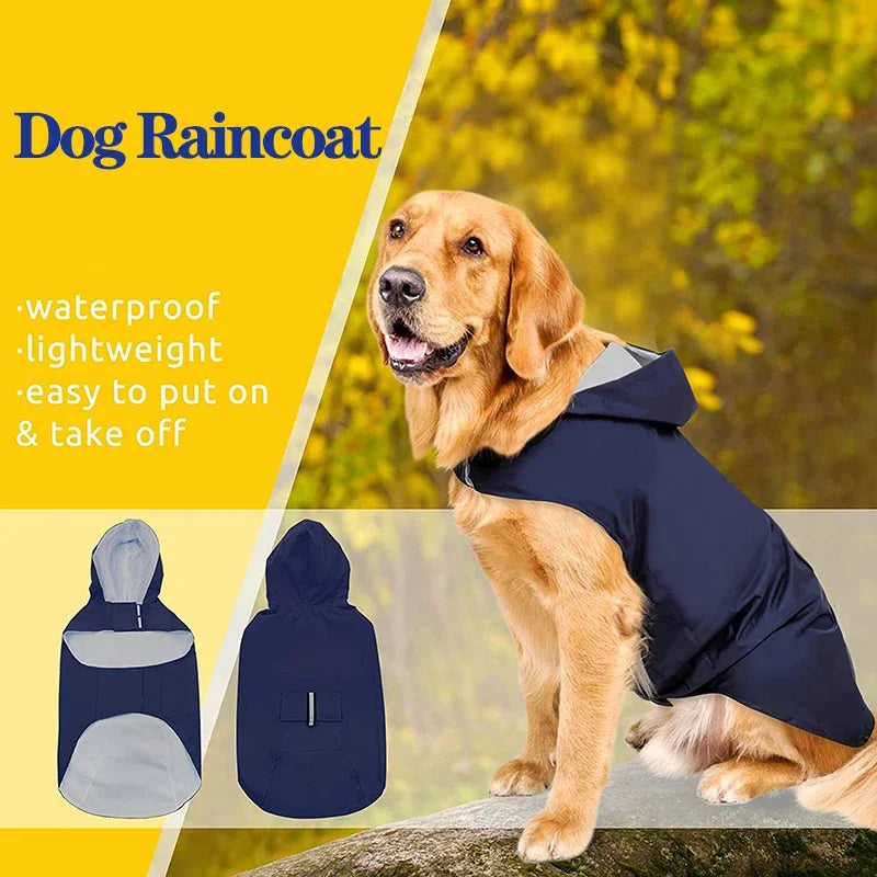 Raincoat Jacket