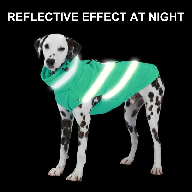 Reflective Coat