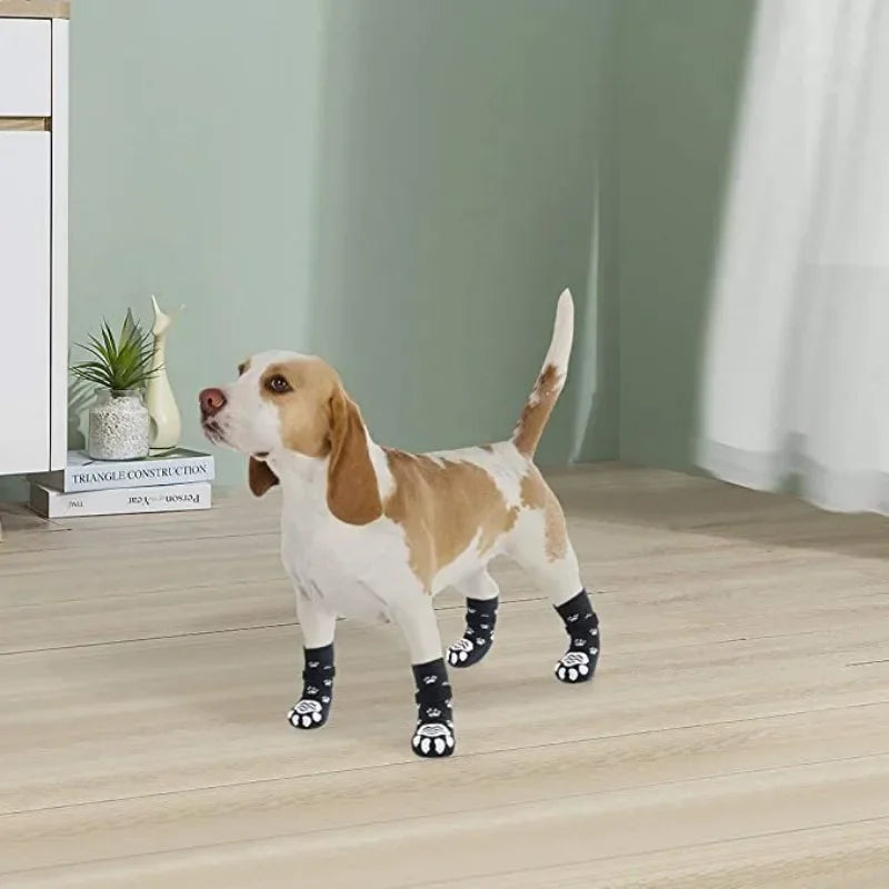 4pcs Paw shoes