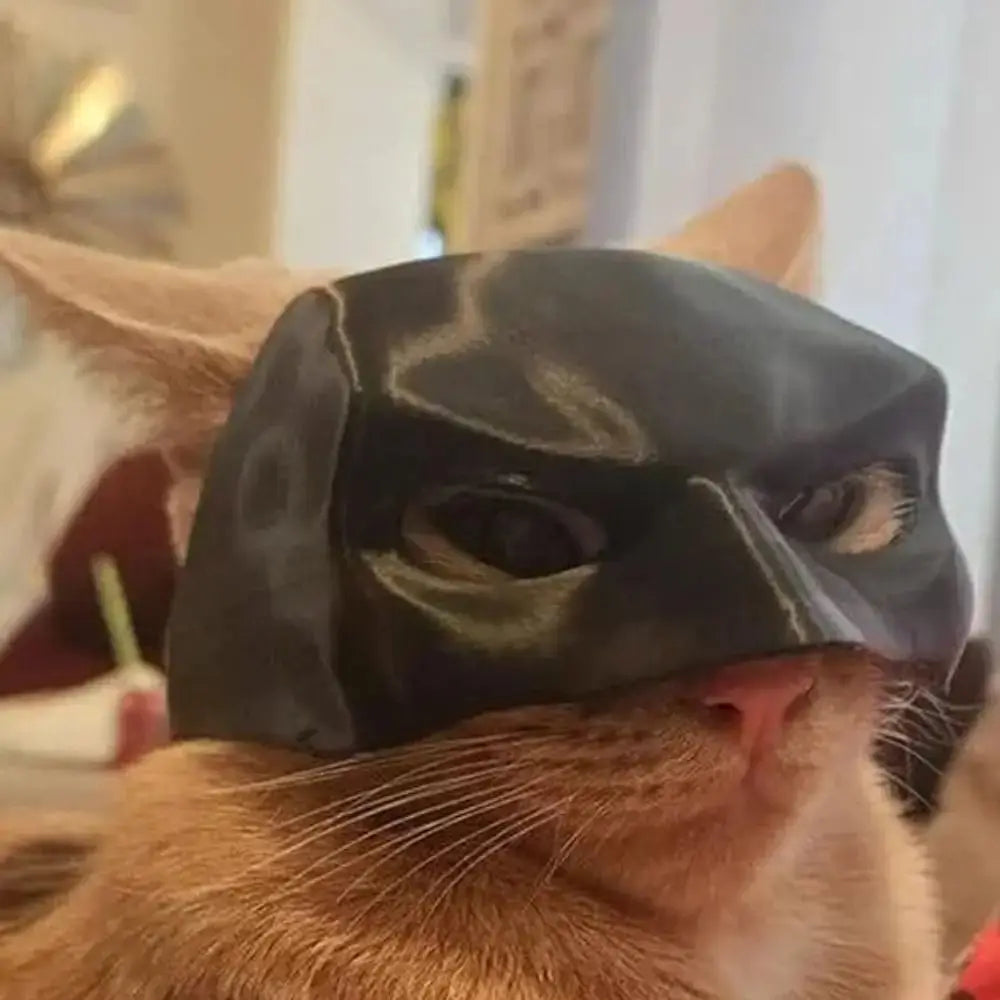 Bat cat