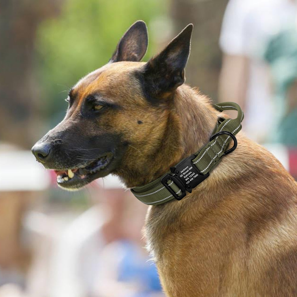 Personalized Tactical Collar