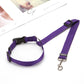 BackSeat Safety Belt