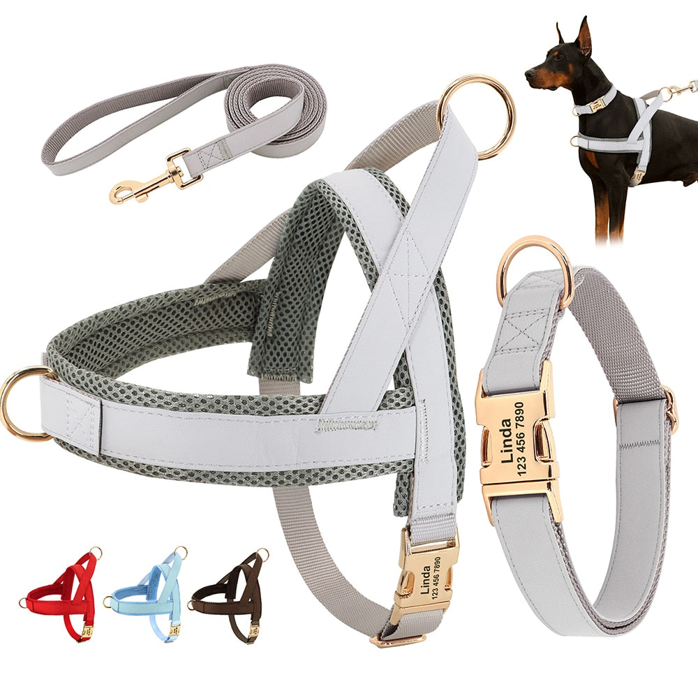 Personalized Set Collar Harness Leash