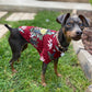 Hawiian Shirt