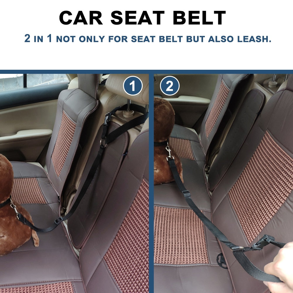 BackSeat Safety Belt