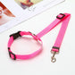 BackSeat Safety Belt