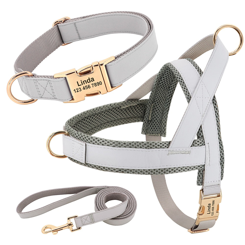 Personalized Set Collar Harness Leash