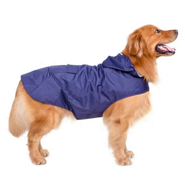 Raincoat Jacket