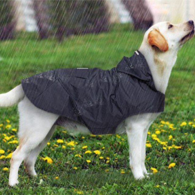 Raincoat Jacket